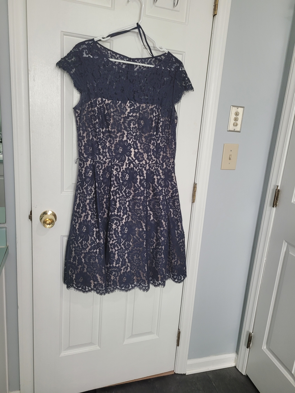 Eliza J Navy Lace Overlay Dress with Blush Lining